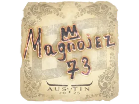 Austin 2025Magnojez