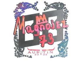 Austin 2025Magnojez (Holo)