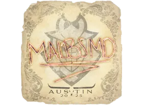 Austin 2025malbsMd