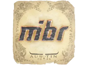 Austin 2025MIBR