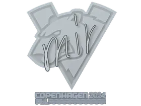 Copenhagen 2024mir