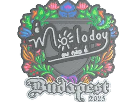 Budapest 2025molodoy (Embroidered)