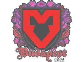 Budapest 2025MOUZ