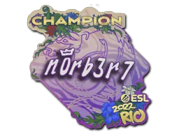 Rio 2022n0rb3r7 (Champion)