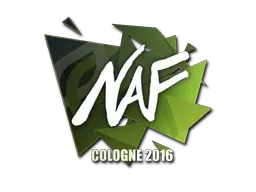 Cologne 2016NAF