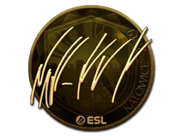 Katowice 2019NAF (Gold)