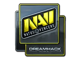 FoilDreamHack 2014