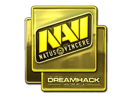 DreamHack 2014Natus Vincere (Gold)