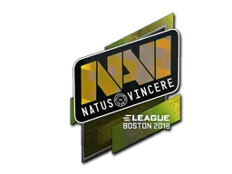 Boston 2018Natus Vincere (Holo)