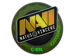 Katowice 2019Natus Vincere (Holo)
