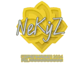 Copenhagen 2024NEKiZ