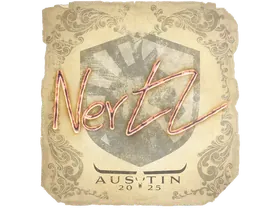 Austin 2025NertZ