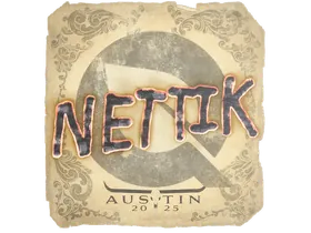 Austin 2025nettik