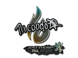 Antwerp 2022nicoodoz