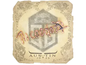 Austin 2025nicoodoz