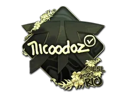 Rio 2022nicoodoz (Gold)