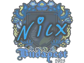 Budapest 2025nicx
