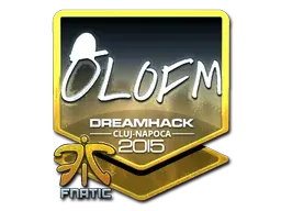 Cluj-Napoca 2015olofmeister (Foil)