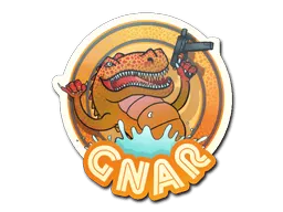 StickerOrange Gnar