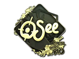 Rio 2022oSee (Gold)