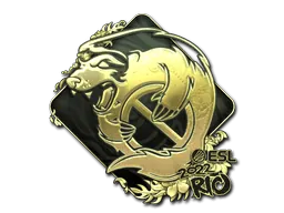 Rio 2022Outsiders (Gold)