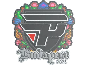 Budapest 2025paiN Gaming (Embroidered)