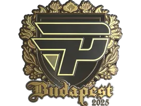 Budapest 2025paiN Gaming (Gold)