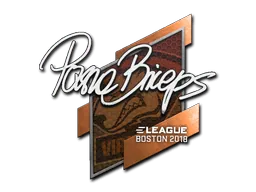 Boston 2018pashaBiceps