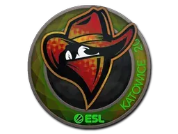 Katowice 2019Renegades (Holo)