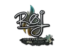 Antwerp 2022roeJ