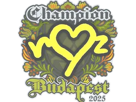 Budapest 2025ropz (Champion)