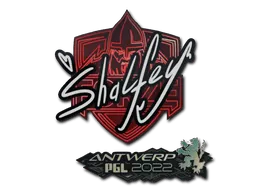 Antwerp 2022shalfey