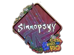 Rio 2022sinnopsyy (Glitter)