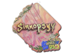Rio 2022sinnopsyy (Holo)