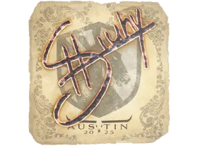 Austin 2025siuhy