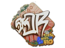Rio 2022sk0R