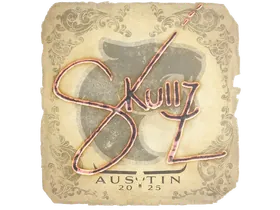 Austin 2025skullz