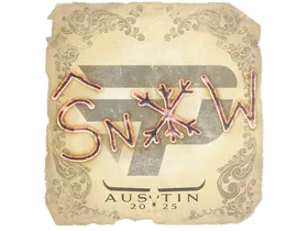 Austin 2025snow
