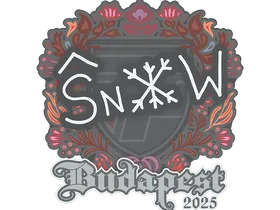 Budapest 2025snow