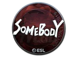 Katowice 2019somebody (Foil)