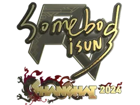 Shanghai 2024somebody (Gold)