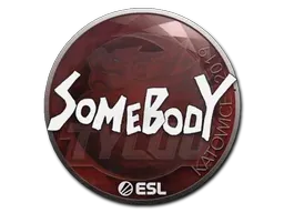 Katowice 2019somebody