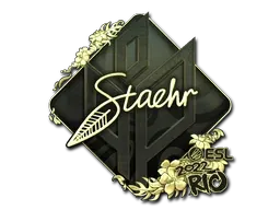 Rio 2022Staehr (Gold)
