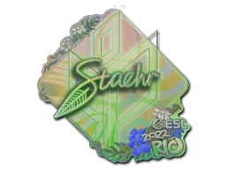 Rio 2022Staehr (Holo)
