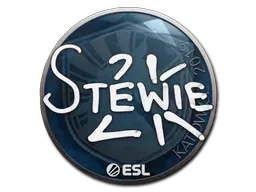 Katowice 2019Stewie2K