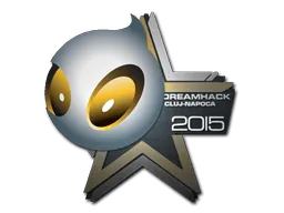 Cluj-Napoca 2015Team Dignitas