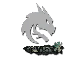 Antwerp 2022Team Spirit