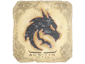 Austin 2025Team Spirit