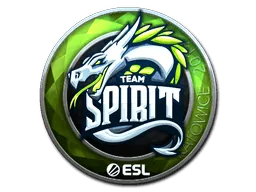 Katowice 2019Team Spirit (Foil)