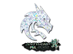 Antwerp 2022Team Spirit (Glitter)